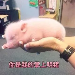 情绪莫激动