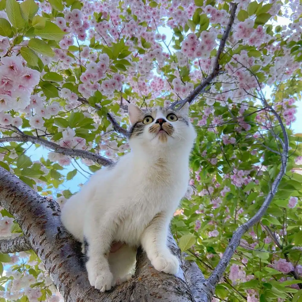 节假日