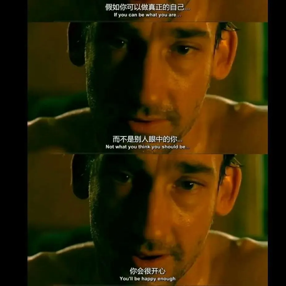 收录