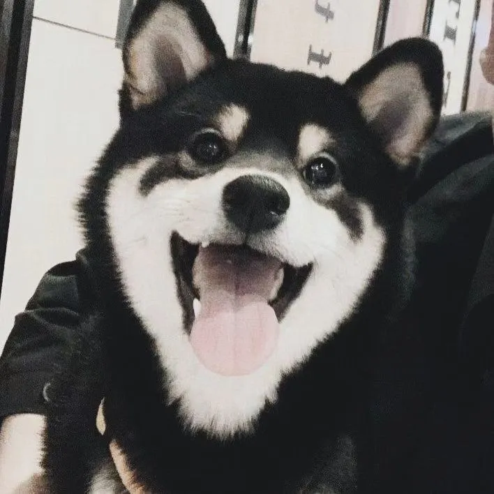 玄剑的专辑