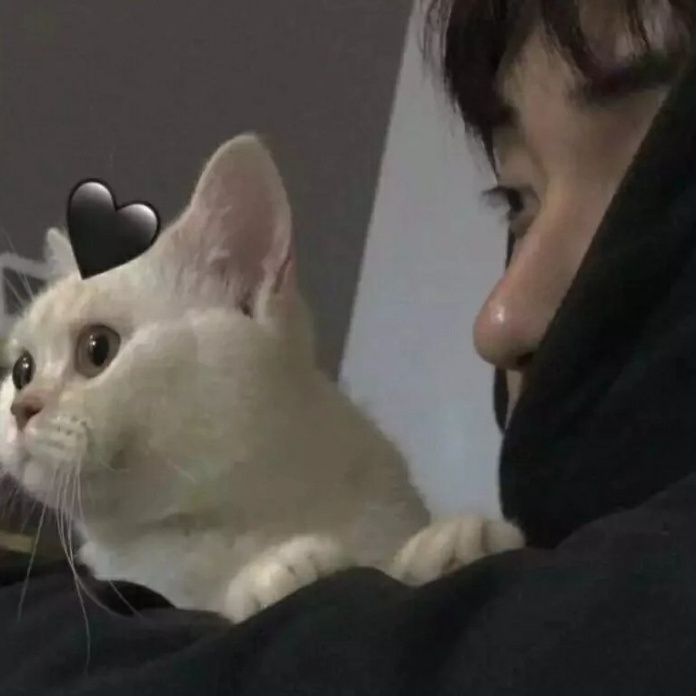 鱼°。自编小屋🐷️