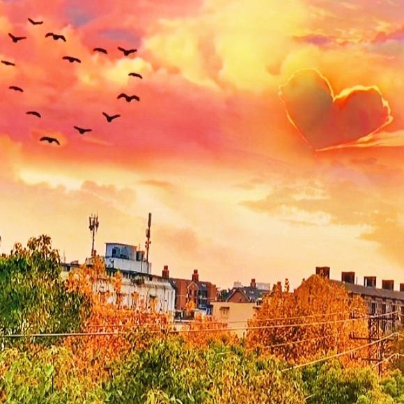 柠檬的绝美文笔