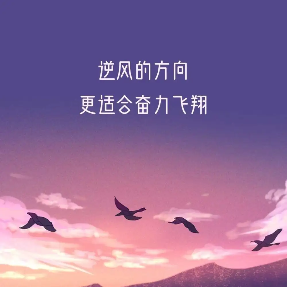 痛哭，不如飞翔