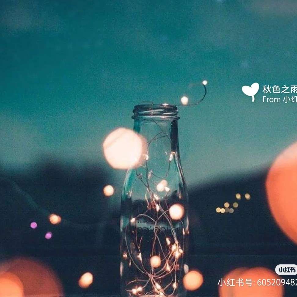 少年的梦啊，有些幸运的实现了，有些被遗忘在风里