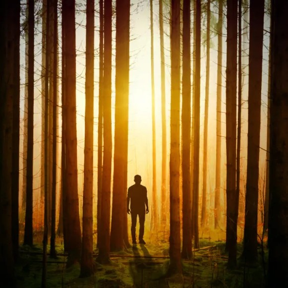 夜里黄昏，人间诸知