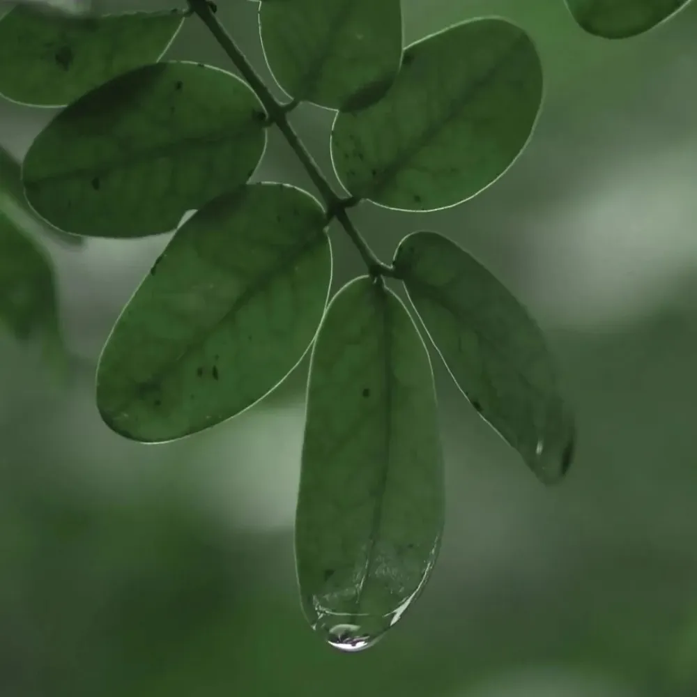 随机看见的好句