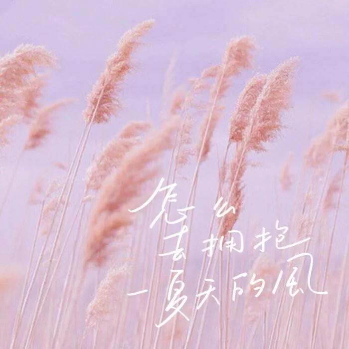 随笔
