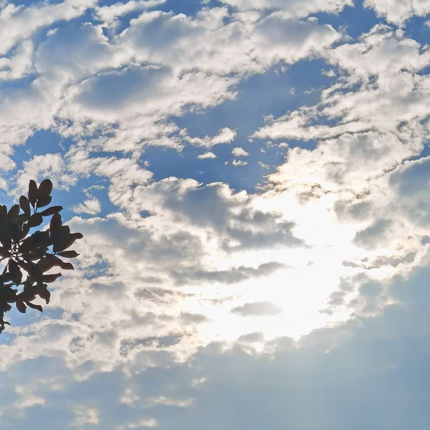 想写下来的句子