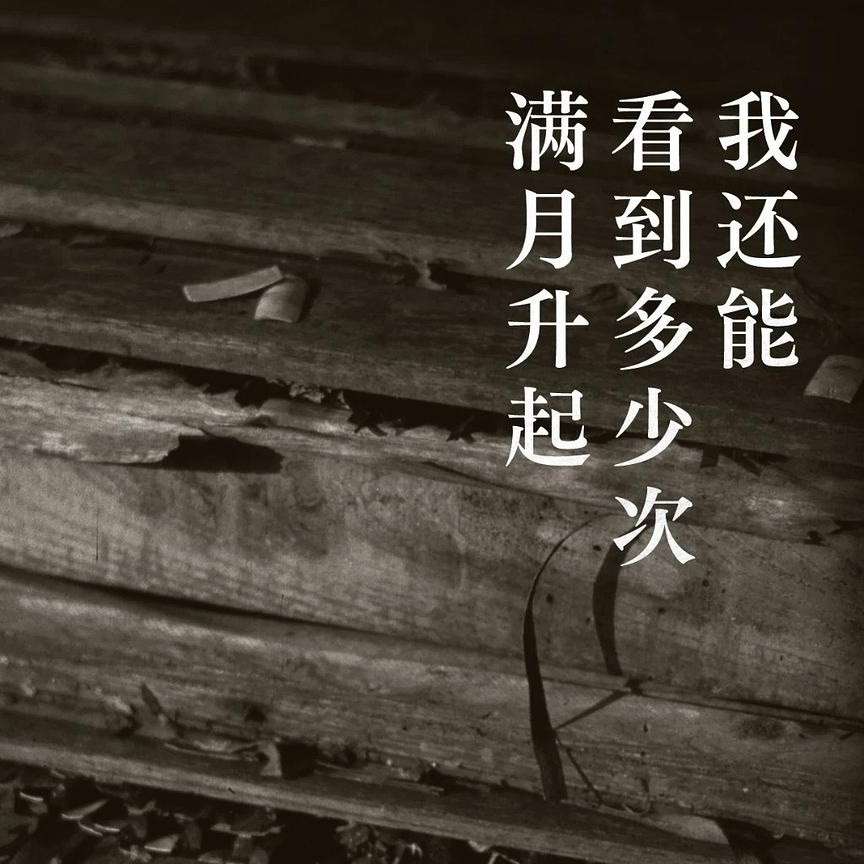 我还能看到多少次满月升起