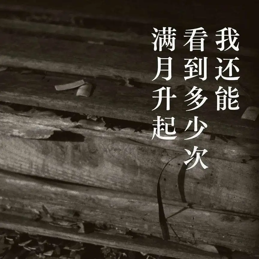 我还能看到多少次满月升起