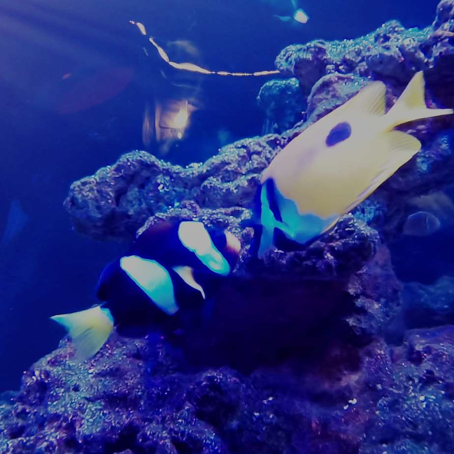 有一句听说是你有女朋友了