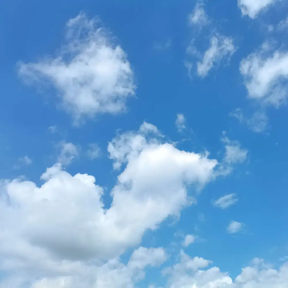 寄风