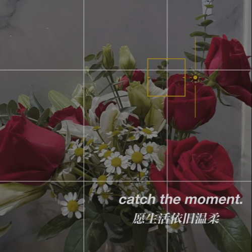 苯基乙胺的浓度高峰