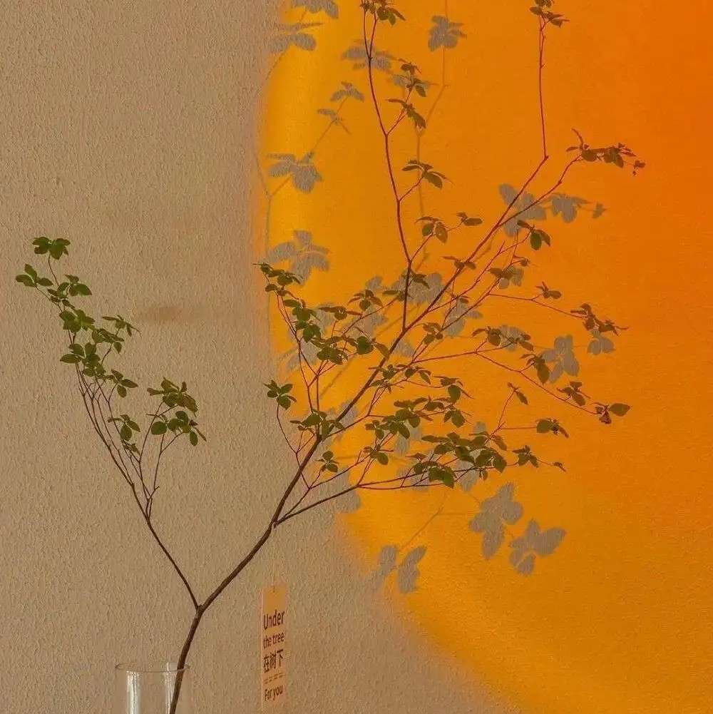 可有可无°的专辑