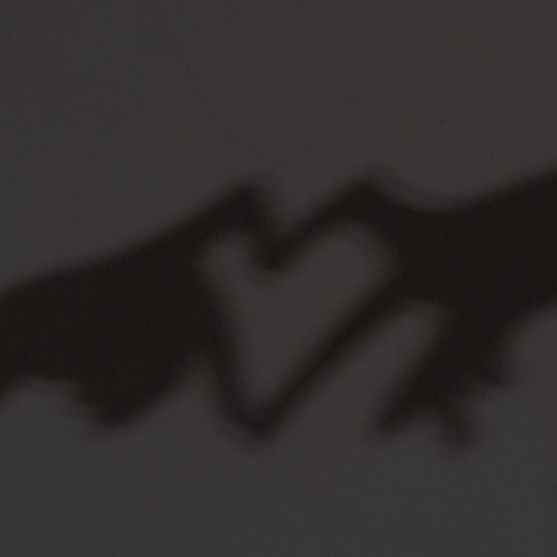 野心要有实力配