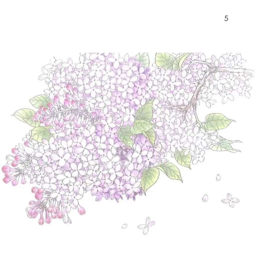 丁香结，这三个字给人许多想象。再联想到那些诗句，真觉得它们负担着解不开的愁怨了。每个人一辈子都有许多不顺心的事， 一件完了一件又来。所以丁香结年年都有。结，是解不完的；人生中的问题也是解不完的，不然，岂不太平淡无味了吗？