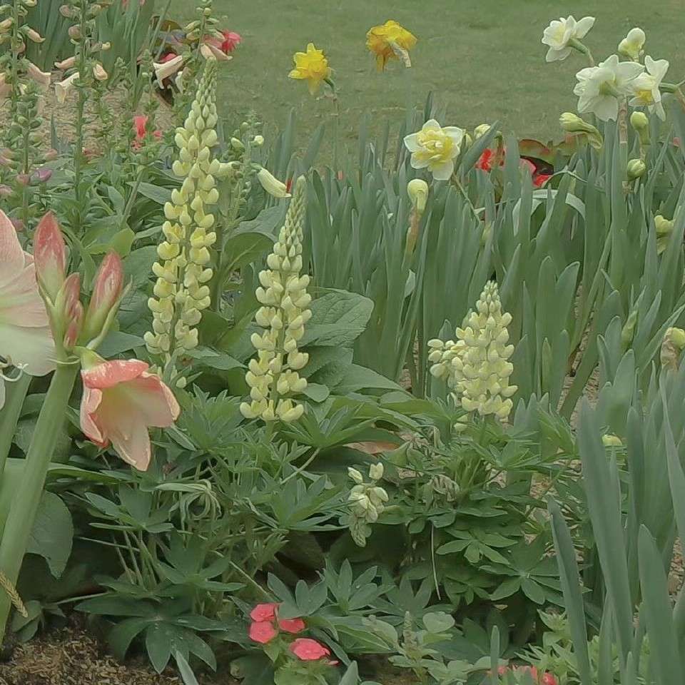 暗恋的酸酸甜甜