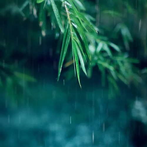 潇湘雨