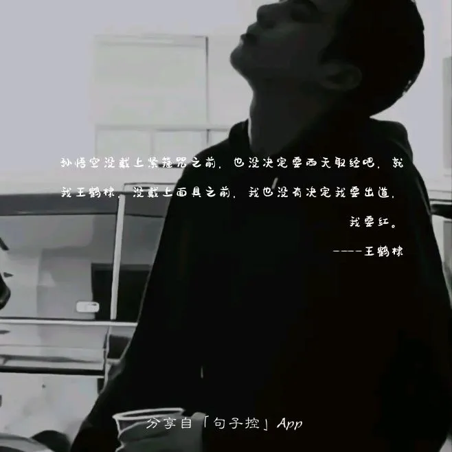 王鹤棣文案