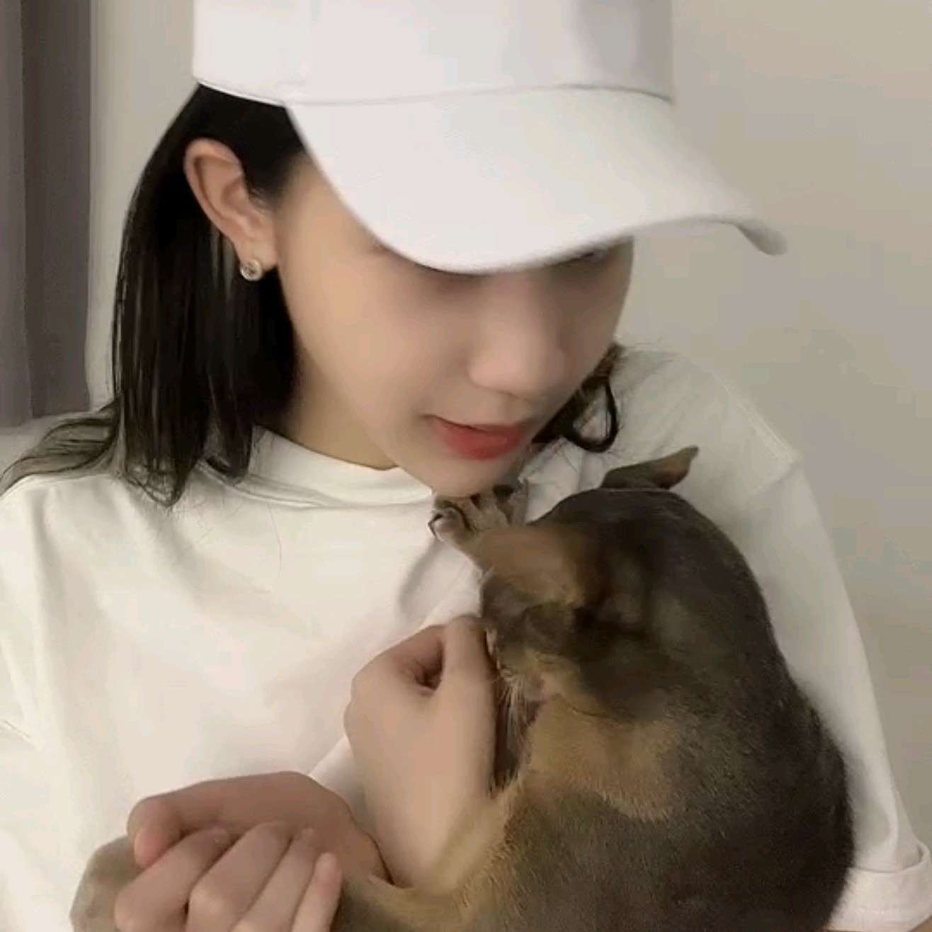 周八休息的追光人.的专辑