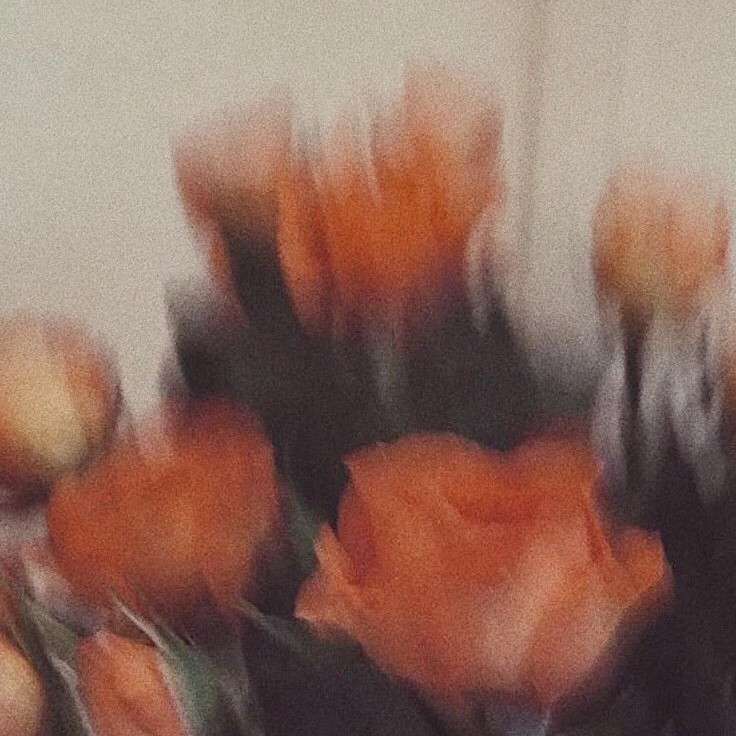 塞林格的青春书屋