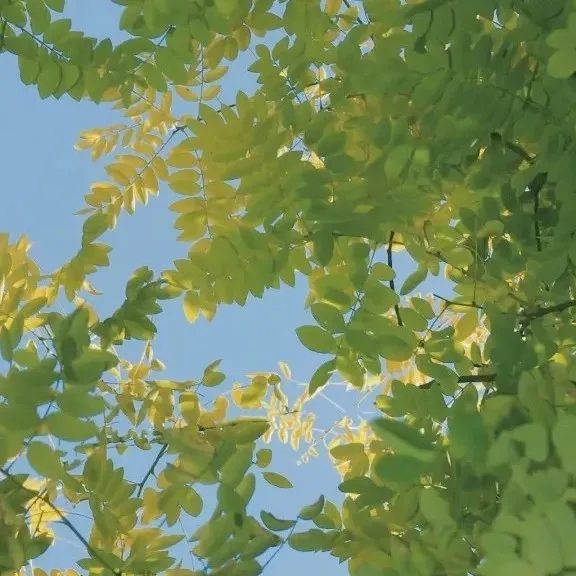 毕业