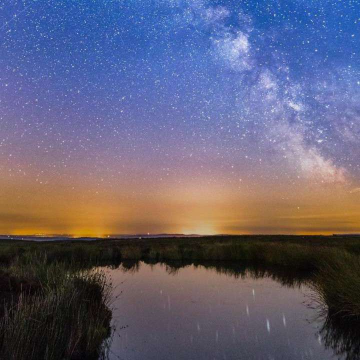 为你摘下满天星