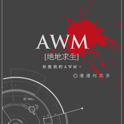 AWM绝地求生