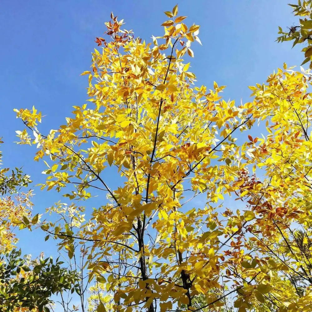 那些美丽的世界