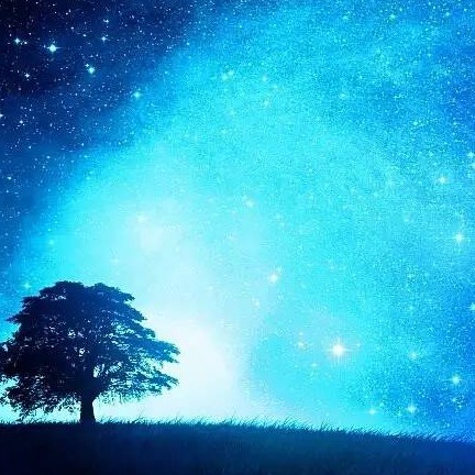 我所喜欢的句子