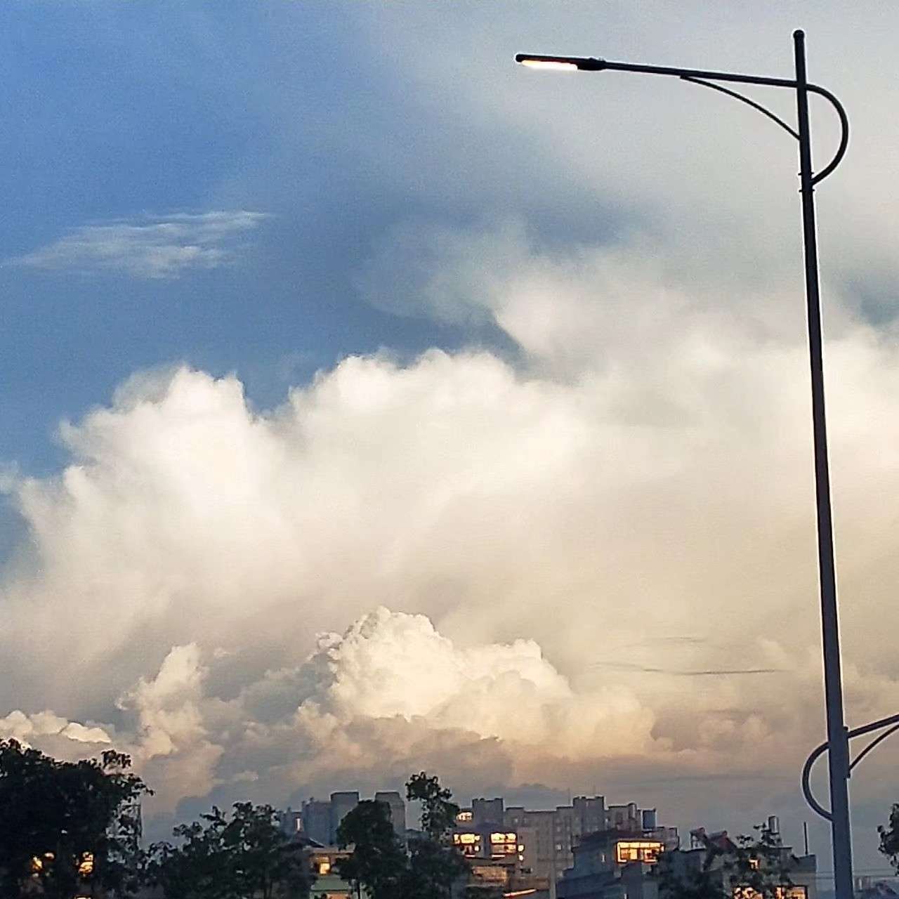 二哈和他的白猫师尊