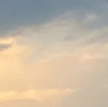 理解