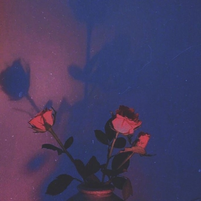 记你我的相遇（安汐妍§原创专辑）