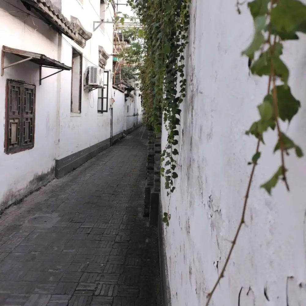 《俗人的孤独》