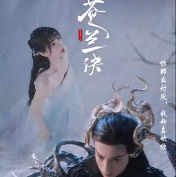 愿的专辑