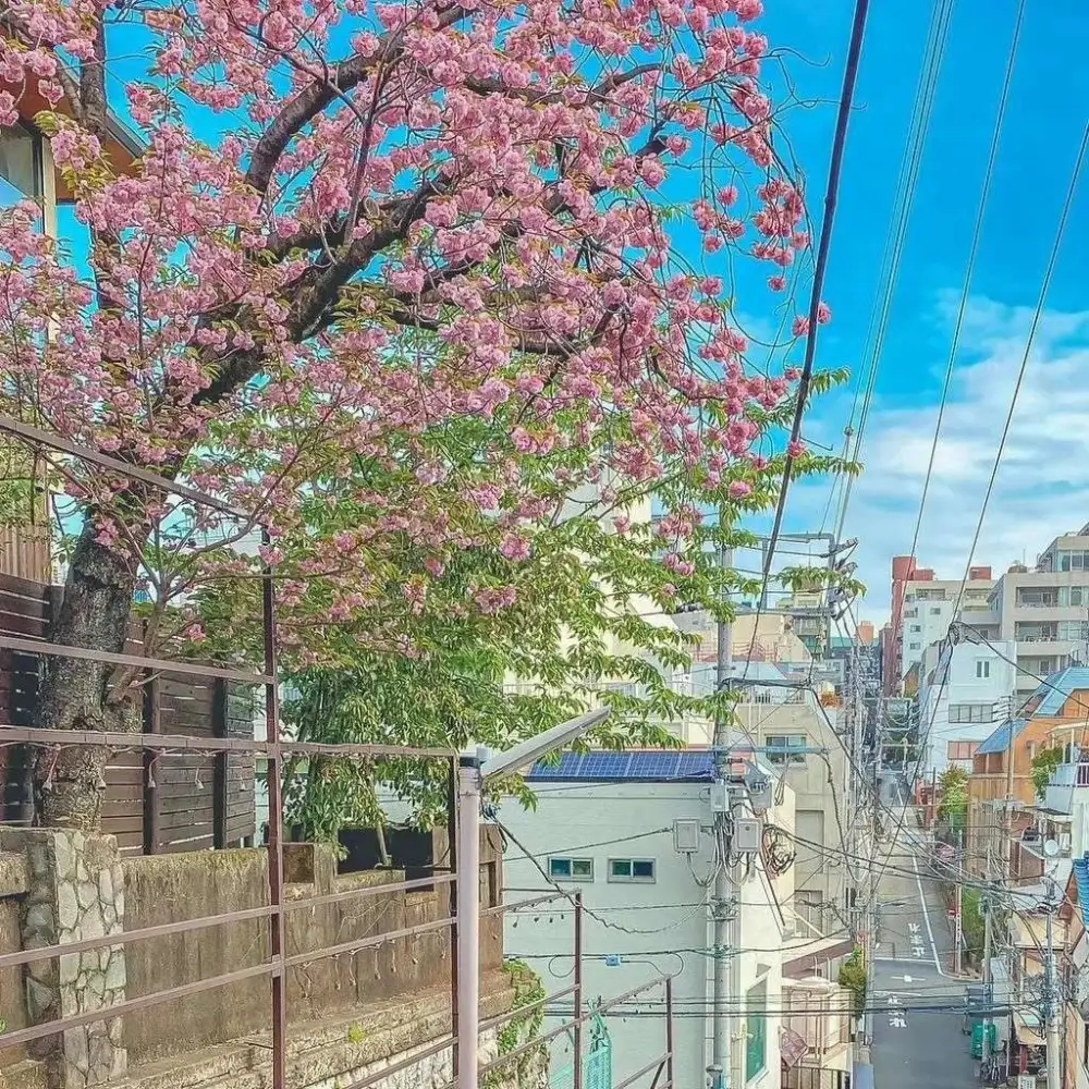哲理