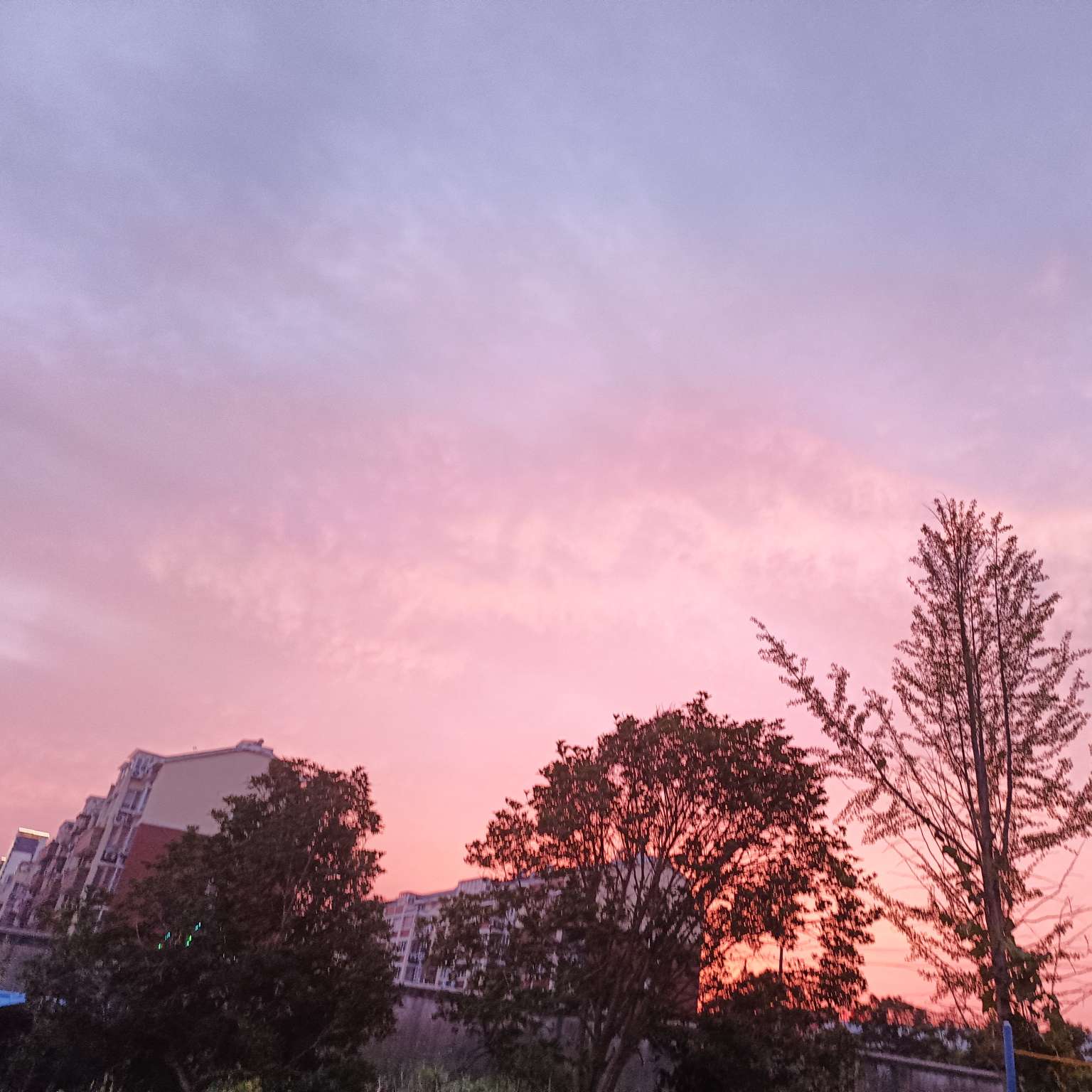 《云边有个小卖部》