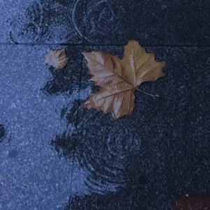 《沦陷一百次》