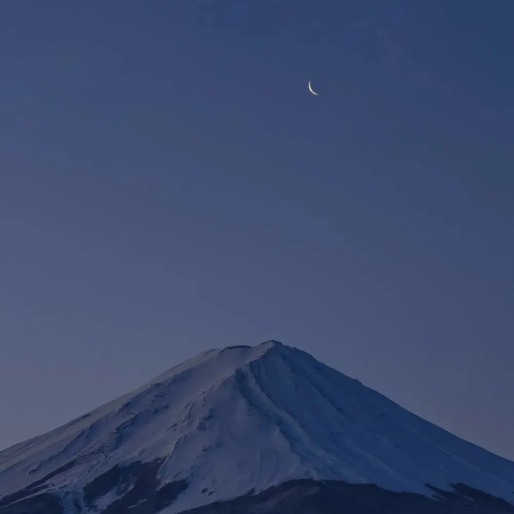 《她太野》