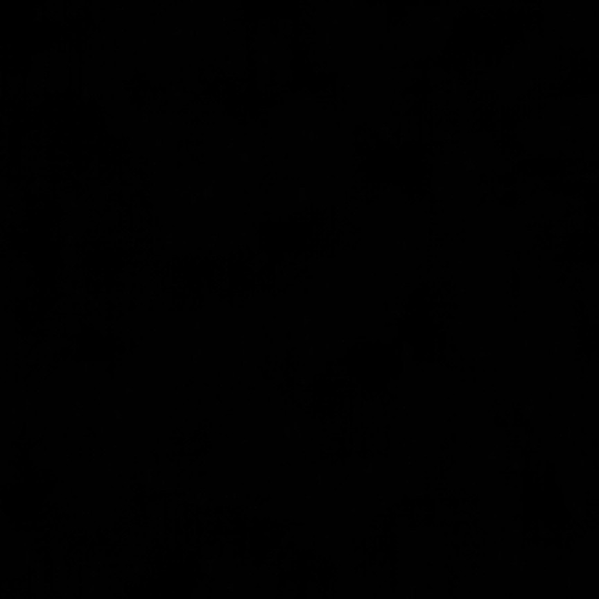 美，你这治愈人心灵的美貌