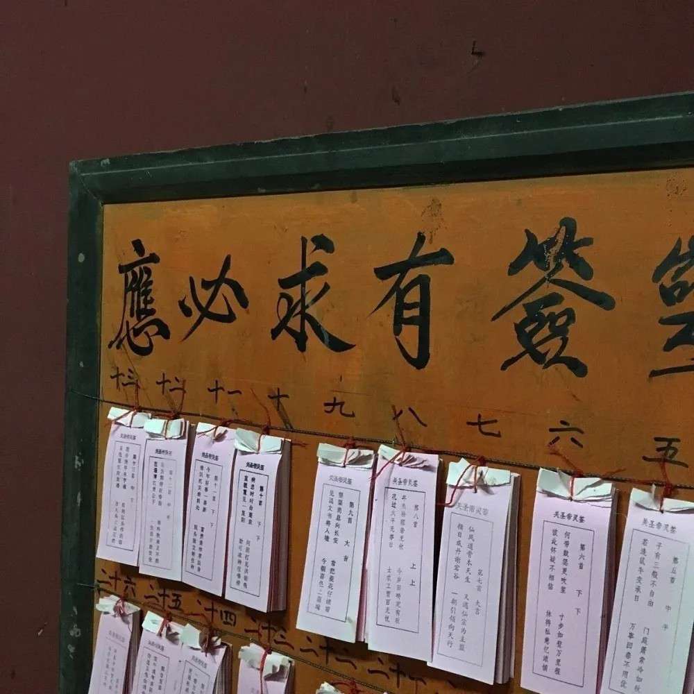 万物皆有你身影