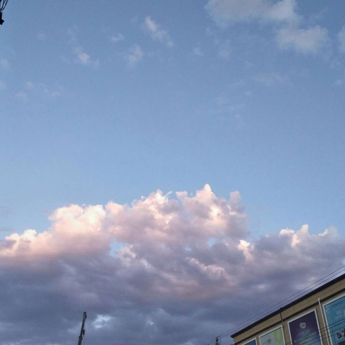 励志+努力+坚持+认真+付出=回报