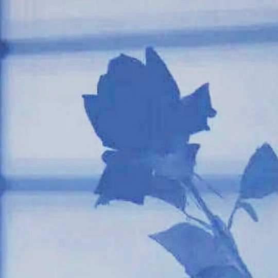 朝妍茜落的专辑