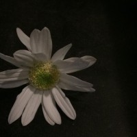 一句旧诗，一段旧事