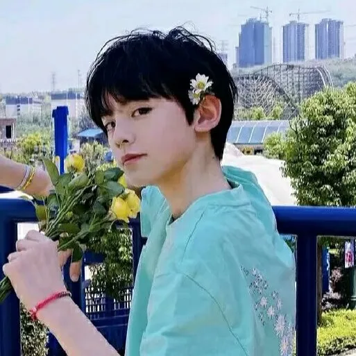 TF家族
