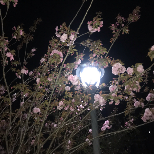 那些爱而不得．