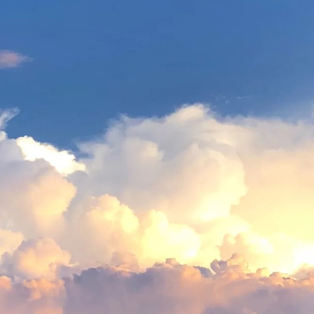 "S̶ɪ̶ʟ̶ᴇ̶ɴ̶ᴛ̶."的专辑