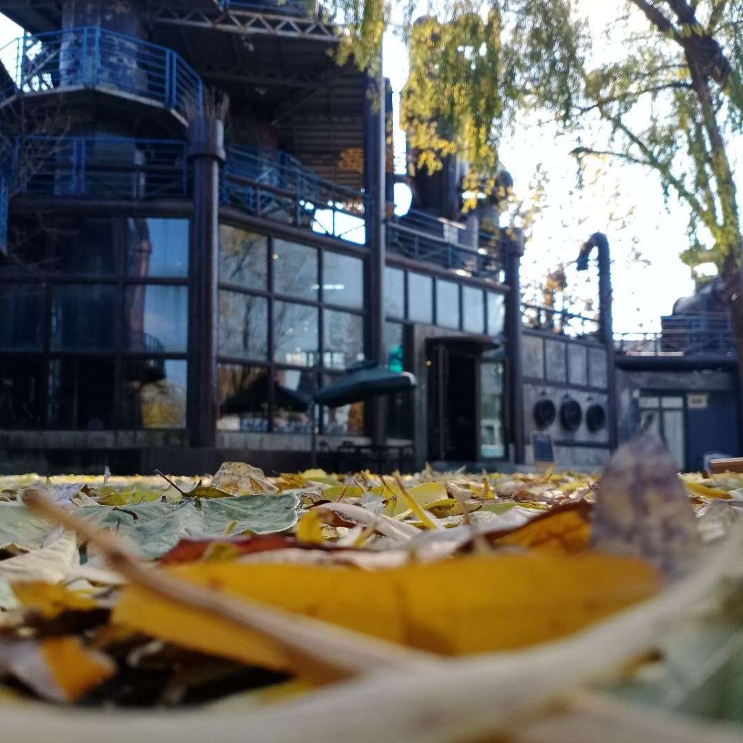 仲月十六的专辑