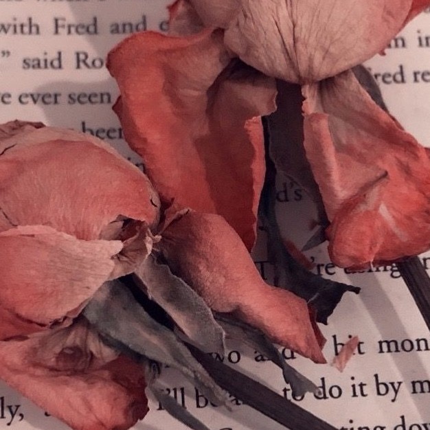 可以用在作文里的句子