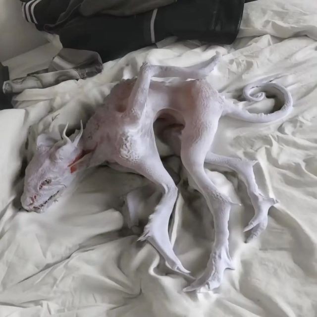 你陪我熬过的夜